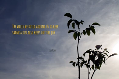 Free Download 30 HD Sad Wallpapers With Quotes