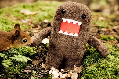 Animals Domo Funny Wallpapers