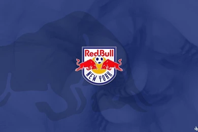 New+York+Redbull+2013+wallpapers+HD+Logo+3.jpg