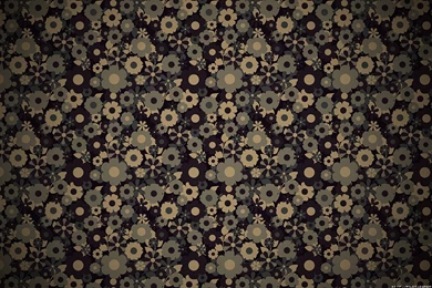 Patterned Wallpapers 2015   Grasscloth Wallpapers