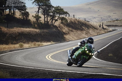 Sportbike Rider Picture Website