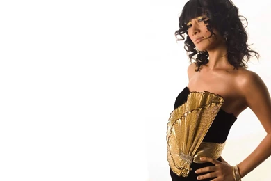 Bai LLing   Bai Ling Wallpapers (14752689)   Fanpop