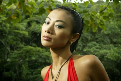 STARS WALLPAPER: Bai Ling Wallpapers Free Download