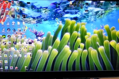 Sim Aquarium 3 Live Wallpapers Mode In Windows 8   YouTube