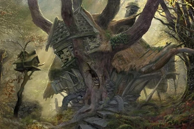 Hobbit House Architecture