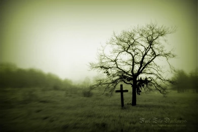 Lonely Grave And A Dead Tree By Taphosarts On DeviantArt