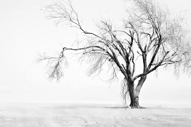 Deserted Computer Wallpapers, Desktop Backgrounds