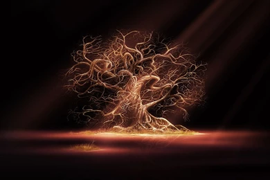 Fresh Nature Wallpapers: The Dead Tree Wallpapers