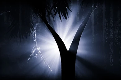 Dir En Grey Dead Tree Inspired By 55Laney69 On DeviantArt