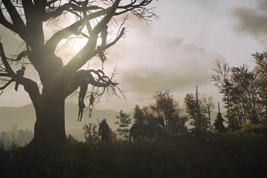 The Witcher 3 Dead Tree Wallpapers By Crishark On DeviantArt