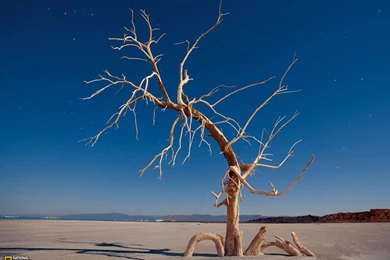 Photography   Desktop Wallpapers   National Geographic Magazine