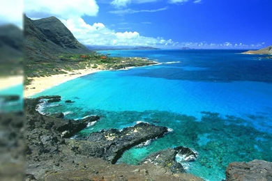 Hawaii Beach Wallpapers   1109849
