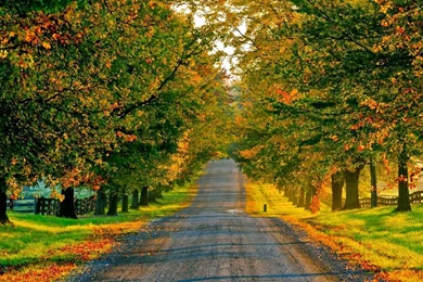 Countryside HD (high Definition) Wallpapers   2