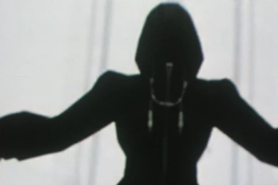 Organization XIII   Nobodies Wallpapers (3339662)   Fanpop