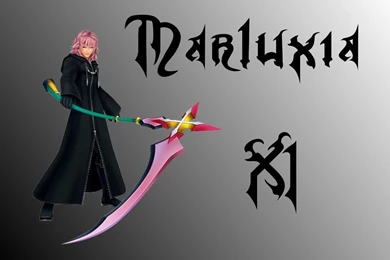Organization XIII: Marluxia By Cyruny On DeviantArt