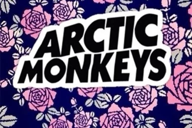 Arctic Monkeys   Image