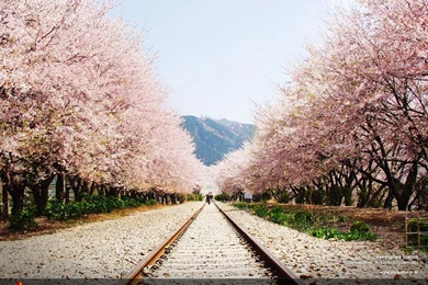 Official Site Of Korea Tourism Org.: Wallpaper_2014