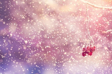 20 Beautiful Snow Wallpapers For Your Desktop
