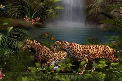 Cats: Dangerous Beauty Leopard Rainforest Grass Jungle Lion Sky ...