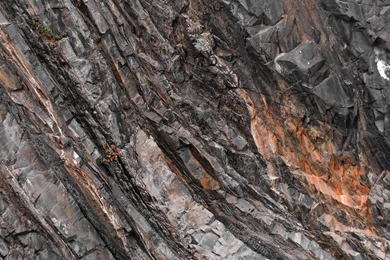 Rocks, Life, 1920x1200 HD Wallpapers And FREE Stock Photo