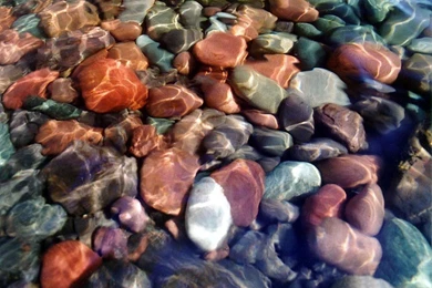 Marvin Eley: COM   WWE WALLPAPER   THE ROCK