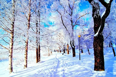 Winter Park HD Desktop Wallpapers : Widescreen : High Definition ...