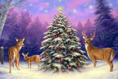 Christmas Whitetail Deer Xmas New Year Paintings Winter Holidays ...