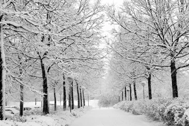 Pretty Winter Wallpapers   62250