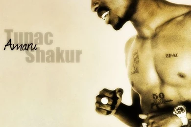 Download Wallpapers 640x960 2pac, Poems, Thouts, Fingers, Light ...