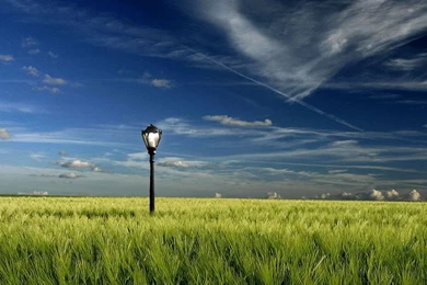 Android Wallpapers   Free Android 960x800 Wallpapers