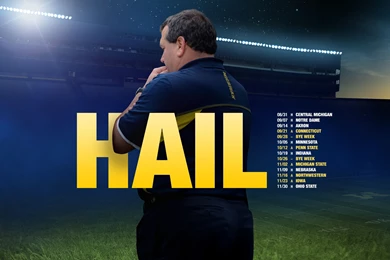 HAIL, Part 1 – 2013 Season – Michigan Football Fan Art