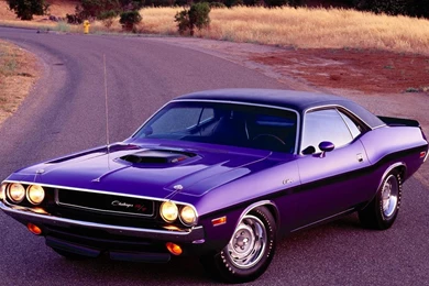 Muscle Car Dodge Challenger Normal Hd Wallpapers   (