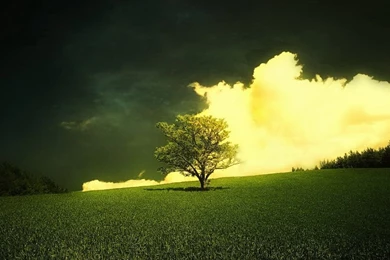 Htc Desire Wallpapers_other Wallpaper_Hd Wallpapers Download