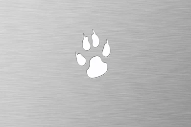 Cougar Pillow Chrome Wallpapers By Chris2fresh On DeviantArt