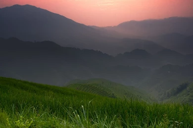 Download The Default ChromeOS Wallpapers And View The Default ...