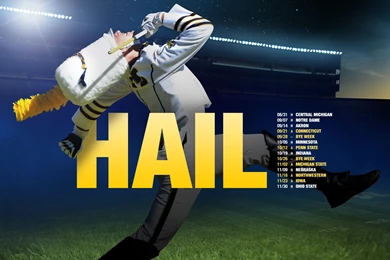 HAIL, Part 2 – 2013 Season – Michigan Football Fan Art