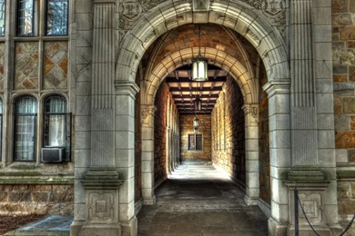 Thirteen 535 University Of Michigan Fan On Pinterest