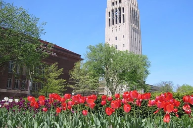 Umich Law School University Of Michigan