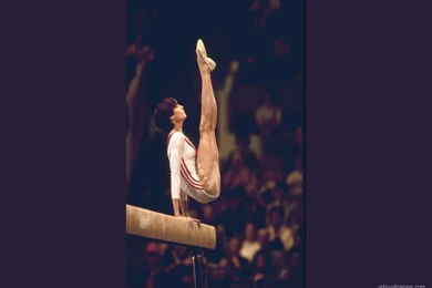 University Of Michigan Desktop Wallpapers   Weddingdressin.Com 4 ...