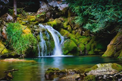 5 Moving HD Wallpapers