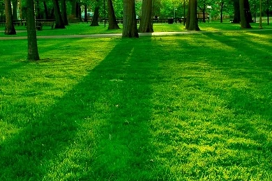 Park_4 wallpaper 640x960.jpg