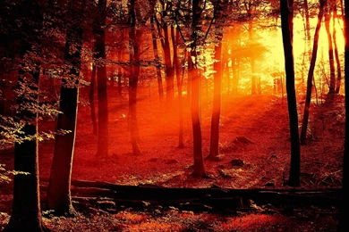 Sunset Wallpapers Desktop Wallpapers   218029