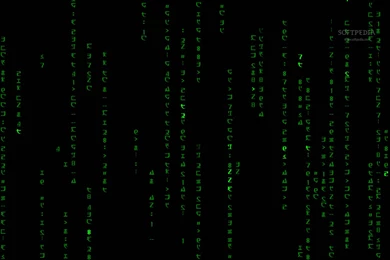 23929) Matrix Moving Backgrounds HD Wallpapers   WalOps.com