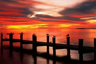 Florida Beach Desktop Wallpaper, Florida Beach Pictures, New ...