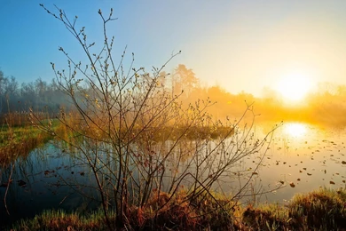 Widescreen Morning Wallpaper Silent Lake Image Nature Picture.jpeg