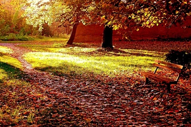 HD Wallpapers Source   Page 318 Of 489   100% Quality HD Desktop ...