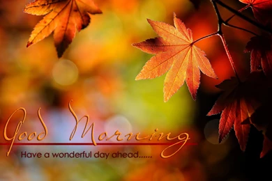 Good Morning Messages Quotes Images Pics Sms Pictures HD ...