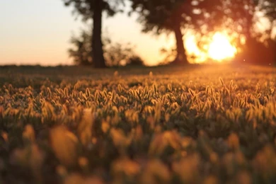 Early Morning HD 1600x1000px