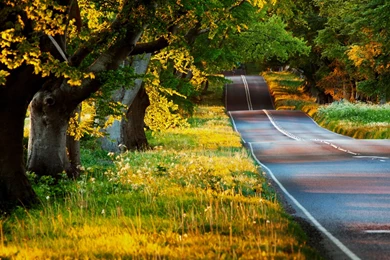 Good Morning Wallpapers HD