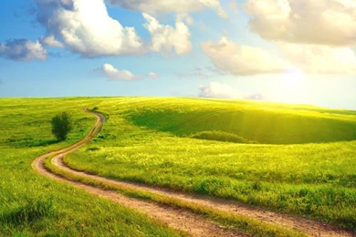 Hot Morning Wallpapers Superb Image HD Picture